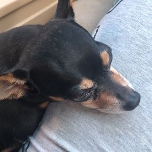 Meet your Posher, Aldina